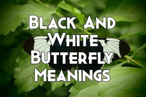 black & white clipart images|black meaning in text.